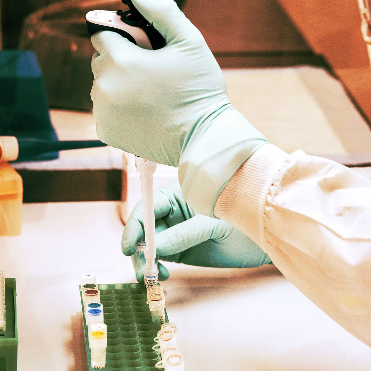 1x1pipetteHPLP